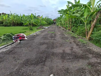 Disewakan tanah 9,25 are di Tukad petanu panjer bisa ambil 3,8 are