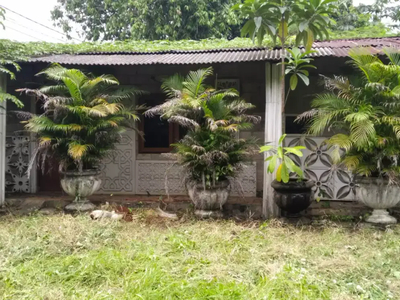 DiSEWAKAN TANAH BERIKUT BANGUNAN