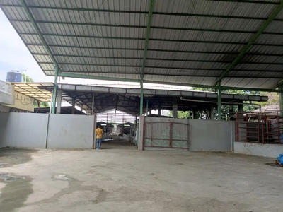 Gudang Murah Luas 1.988 m2 di Sangiang Selatan Tangerang