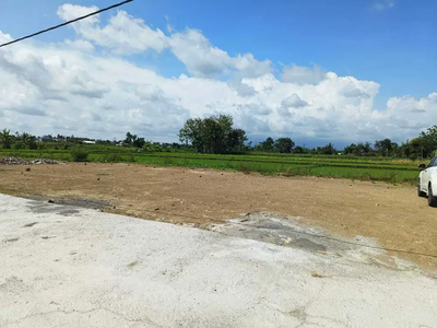 Jual Tanah Murah Strategis di Cupuwatu Purwomartani Luas Tanah 140m2