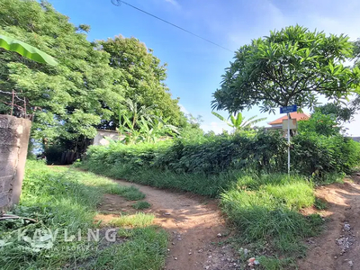 Tanah Kavling Murah di Jalan Ketut Cakra Desa panji Buleleng