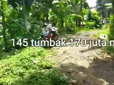 Tanah kebun 2030 m2 / 145 tumbak Hanya 170jt