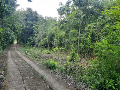 Tanah Murah di Nanggulan kulon Progo