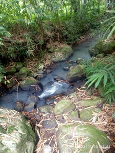 Tanah view sungai dekat Villa Bali Lush dan Bali Green Retreat