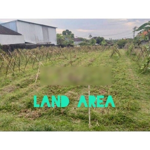 Land For Lease Or Rent 16 Are In Padonan Batan Celagi