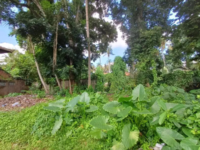 Tanah GLOBAL 11 Are Los Sungai di Mas Ubud Gianyar