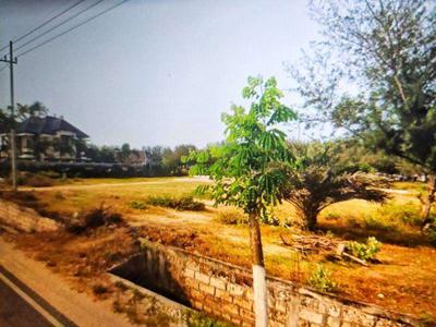 Dijual tanah 5400 m2 di Jenu Tuban Jawa Timur nol laut nol jalan