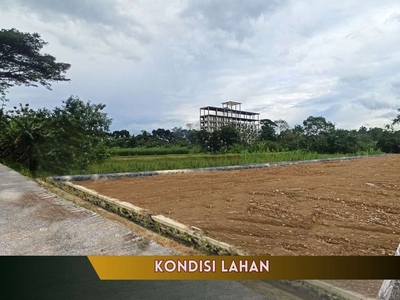 Barat Kampus UTY Tanah Murah Dalam Ringroad Sleman Yogyakarta