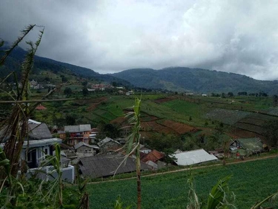 Di Jual Tanah Di Puncak 2 Bogor Luas 4 Hektar Harga Masih Murah
