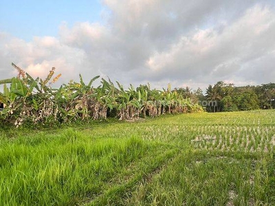 Di Jual Tanah View Sawah dan Sungai di Jl Kaba Kaba Tabanan