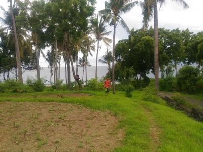 Dijual cepat Sebidang tanah kosong kawasan los pantai Tulamben, Karang