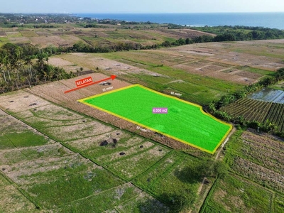 Dijual Tanah, Cocok Untuk Investasi Di Tabanan Bali
