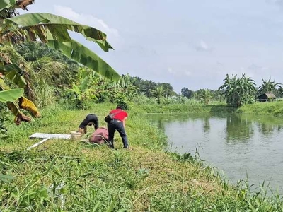 Dijual Tanah Cocok Untuk Kolam Ikan Deli Serdang Sumatera Utara