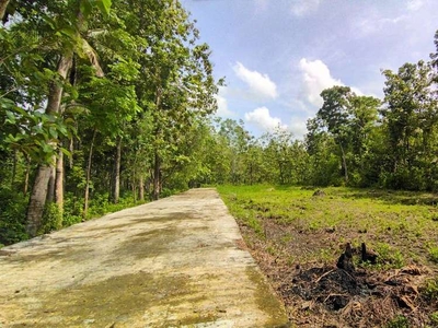 Dijual Tanah Dekat Kampus Atmajaya Kulonprogo, SHM Pecah