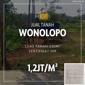 Dijual Tanah di Wonolopo Mijen Semarang