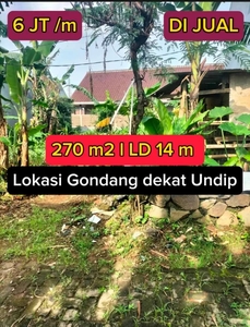 Dijual tanah kavling di Jl Gondang Tembalang dekat Undip Semarang