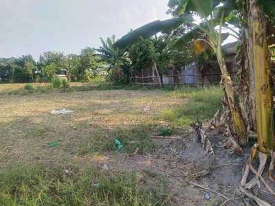 DIJUAL TANAH KAVLINH DI JL.PENDIDIKAN BATANG KUIS MEDAN