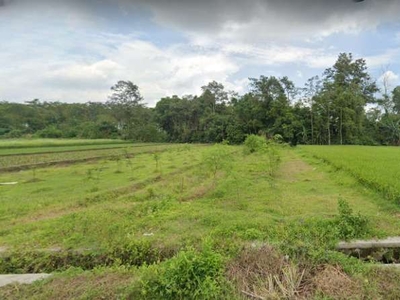 Dijual Tanah Utara Jl Solo-Jogja, Dekat Tol Purwomartani