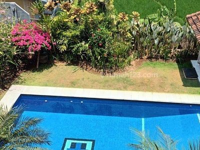 Disewakan villa view sawah di Berawa Canggu