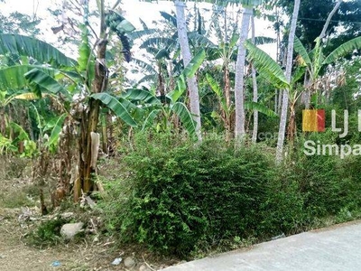 Invest Tanah Dijual Murah di Desa Tampingan Lokasi Strategis 11.527 aud
