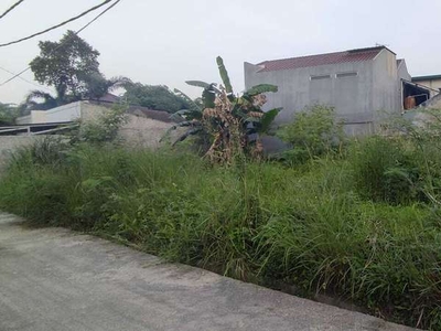 JUAL MURAH Tanah Strategis Lokasi di Jl Raya Cilodong