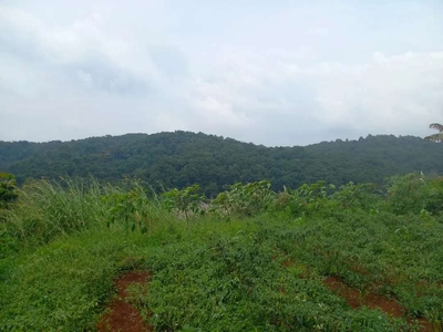 Jual Tanah 4,5 Ha Desa Kutawaringin Kab.Cianjur