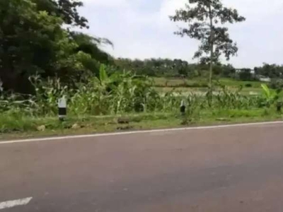 Lahan zona industri Cikedung Indramayu 6 km dr exit tol