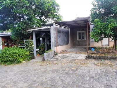 Tanah bonus Rumah di Burangrang Jangli Tembalang