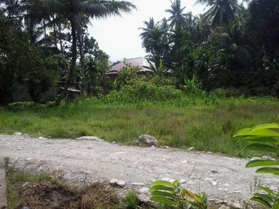 Tanah Cocok Untuk Perumahan Di Padang Sumatera Barat S6654