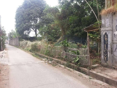 Tanah Dekat ke Jalan Raya Pantura di Cikampek Karawang Dijual Murah