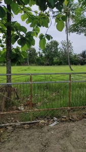 Tanah di desa reuloh kecamatan ingin jaya Aceh besar