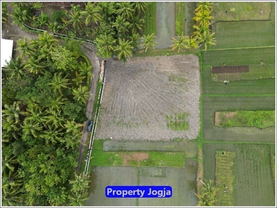 Tanah Dijual Dekat Balai Desa Tawangsari Kulon Progo, SHM Ready