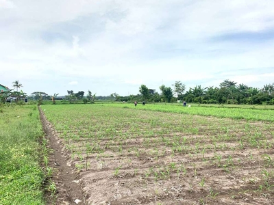 Tanah Dijual di Klaten, dekat Wisata Candi Prambanan