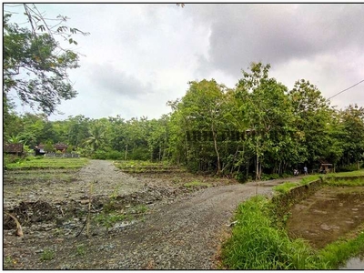 Tanah Dijual Kulon Progo, Dekat Puskesmas Sentolo, View Sawah