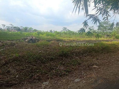 Tanah Hook Di Selatan Uii Pusat,tanah Jogja Siap Akad Notaris