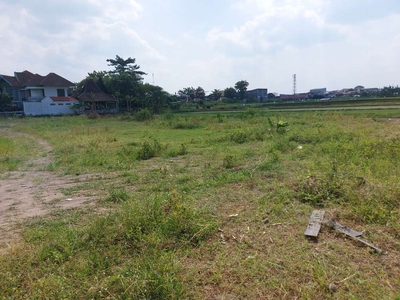 Tanah Jogja Eksklusif Tengah Kota View Sawah Siap AJB