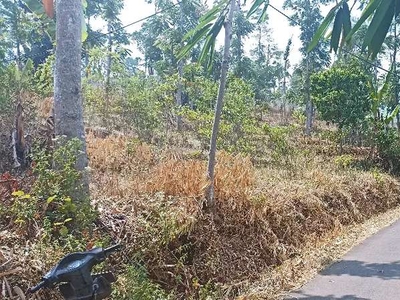 Tanah kebun murah invest pinggir jln desa pasirloa tanjungsari Bandung