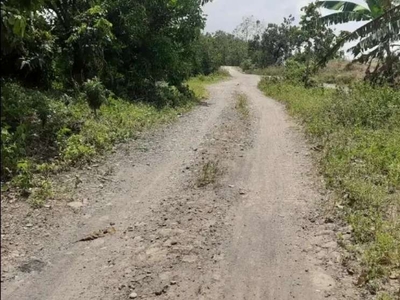 Tanah kebun & sawah 7Ha - 10Ha Cikawung Terisi Indramayu