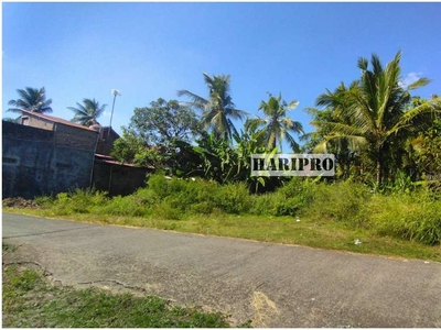 Tanah Murah Kulon Progo Dekat Balai Desa Tawangsari, SHM P