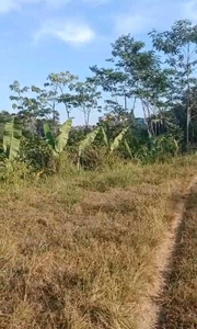 Tanah Murah Malang Cocok Untuk Kebun Area Poncokusumo, A164