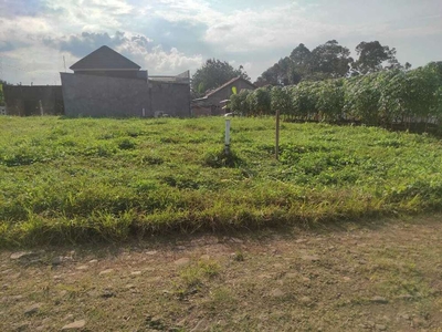 Tanah Ngaliyan Semarang Belakang Lapas Kedungpane, Siap Bangun, 149 m2