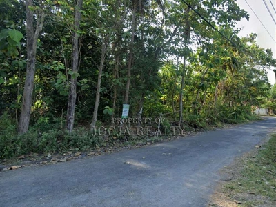 Tanah Pekarangan SHM Jogja Murah Dijual Bangunjiwo Kasihan Yogyakarta