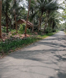 Tanah Pinggir Jalan Aspal Kabupaten di Ngestiharjo, Wates, Kulon Progo
