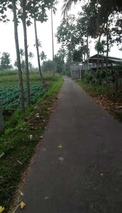 Tanah Poncokusumo Malang Cocok Untuk Kebun Atau Investasi, A165