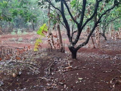 Tanah Siap Bangun Di Gunungpati 4 Menit Kampus Unnes