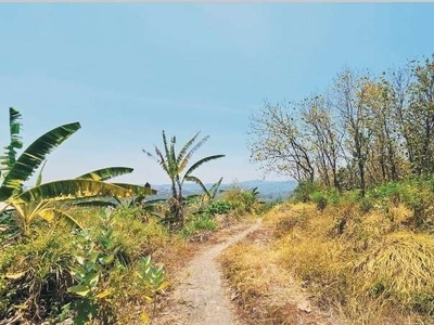 Tanah Siap Bangun di Mijen, Semarang Dekat BSB City