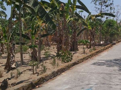 Tanah Sleman Cocok Bangun Kos,100m Jalan LPMP Kawasan RSUD