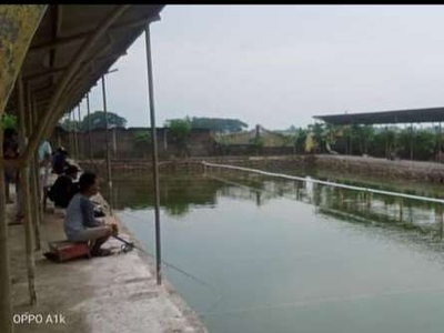 Tanah Strategis + Kolam Pemancingan + Rumah Makan di Lemahabang Kota K