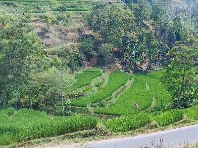 Tanah view sawah dekat taman cecenet pasirloa tanjungsari