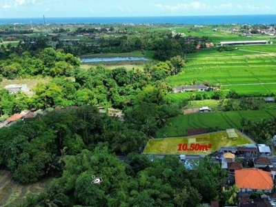 Tanah view Sawah Pantai Kedungu Jalan Utama 1050m2 Tabanan Bali